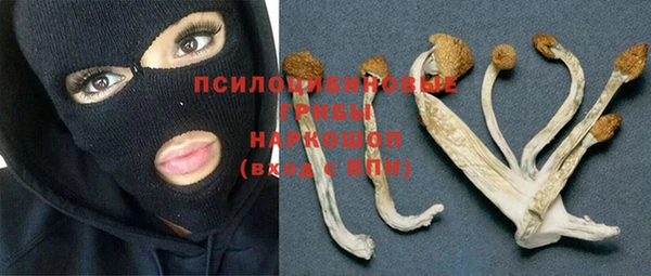первитин Сясьстрой
