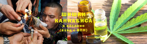 ешки Тавда