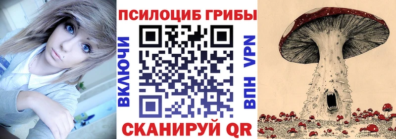 кракен ССЫЛКА  Узловая  Псилоцибиновые грибы Cubensis 